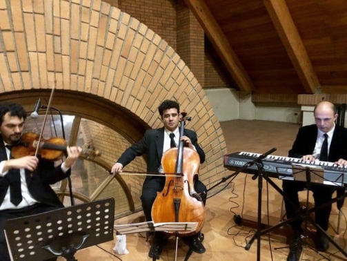 musicos